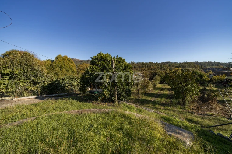 Terreno para Venda em Torre e Portela Foto 8