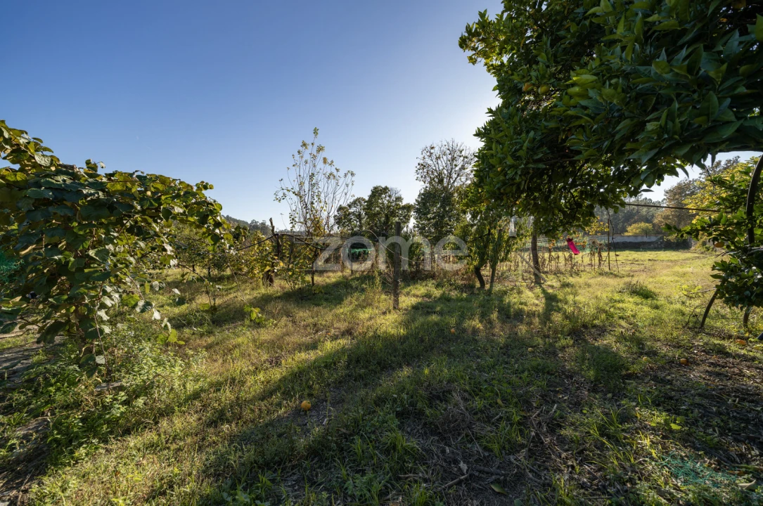 Terreno para Venda em Torre e Portela Foto 10