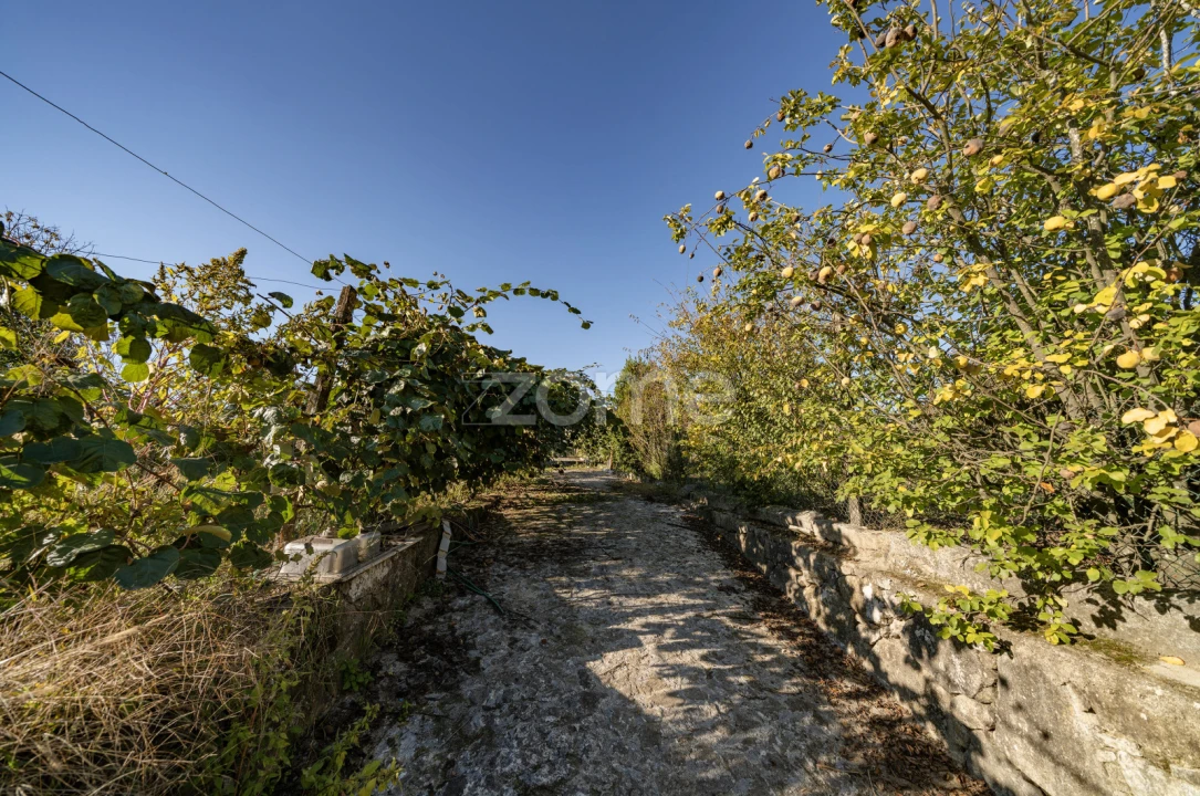 Terreno para Venda em Torre e Portela Foto 16