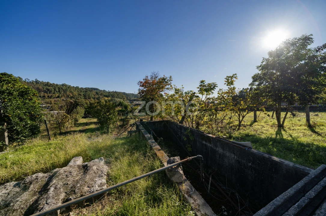Terreno para Venda em Torre e Portela Foto 6