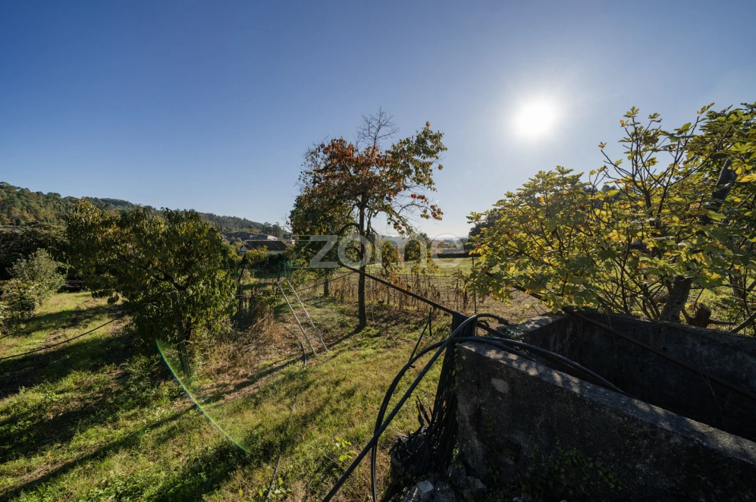 Terreno para Venda em Torre e Portela Foto 9