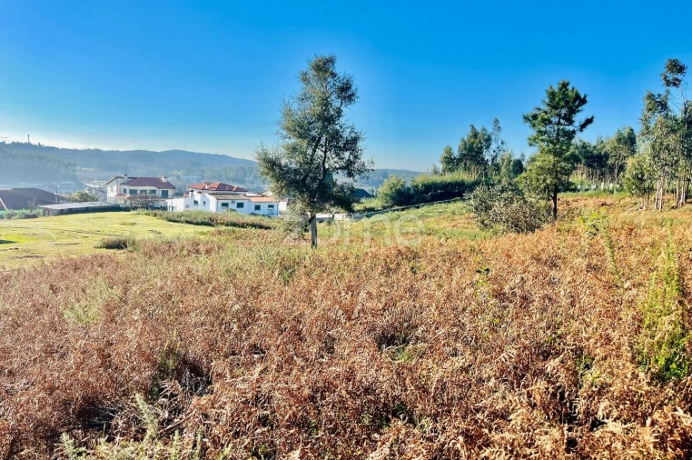 Terreno para Venda em Eiriz Foto 2