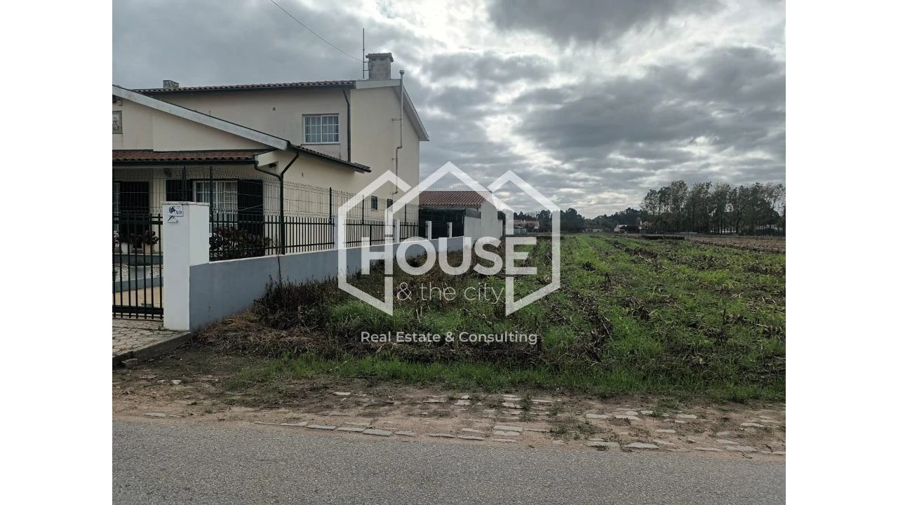 Terreno para Venda em Palhaça Foto 2