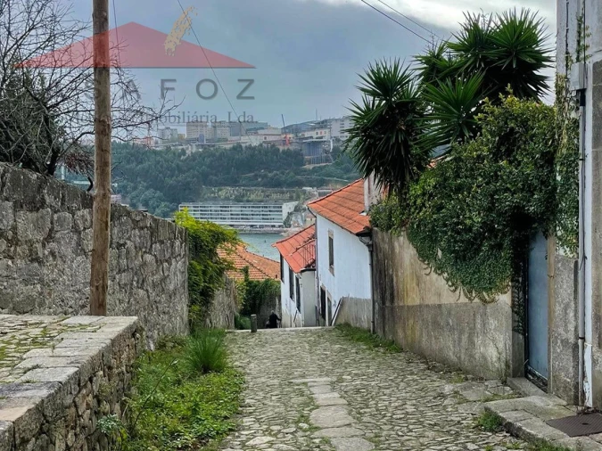 Apartamento T1 para Arrendamento em Lordelo do Ouro e Massarelos Foto 21