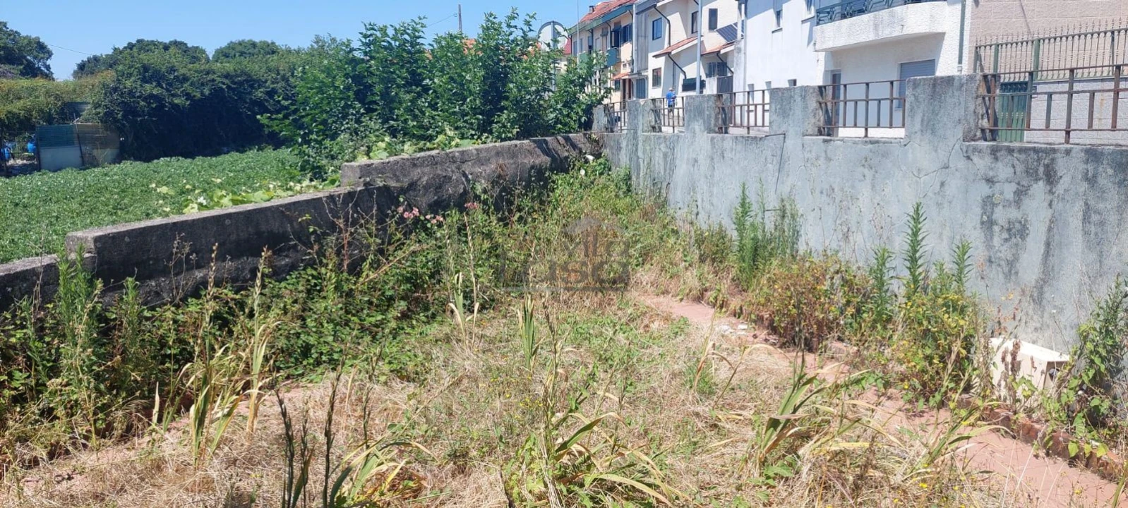 Terreno P/ Prédio para Venda em Pedrouços Foto 8