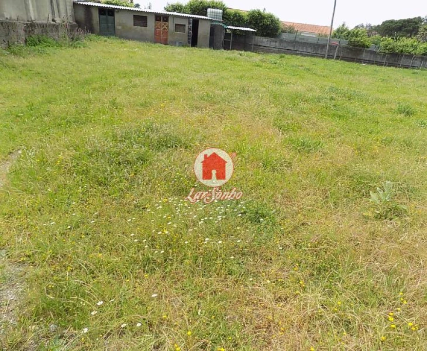 Terreno Agricola ou Rústico para Venda em Landim Foto 1