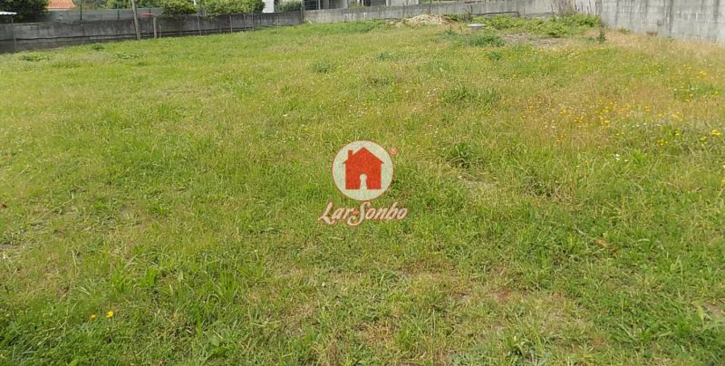 Terreno Agricola ou Rústico para Venda em Landim Foto 2