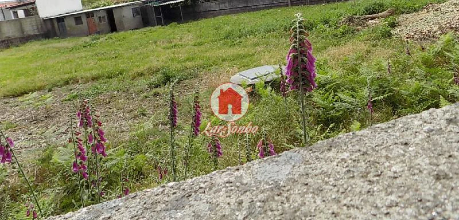 Terreno Agricola ou Rústico para Venda em Landim Foto 4