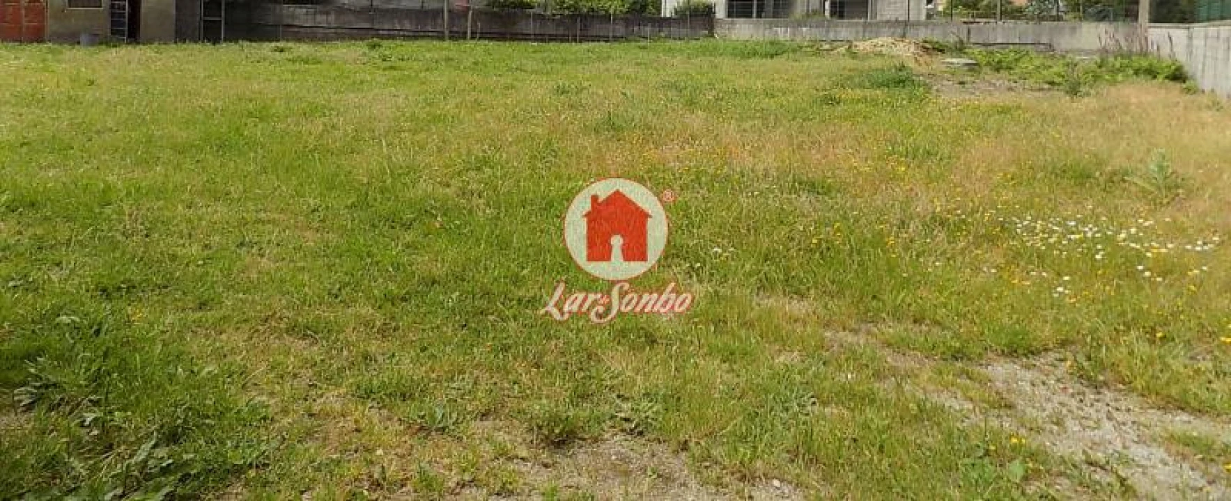 Terreno Agricola ou Rústico para Venda em Landim Foto 6