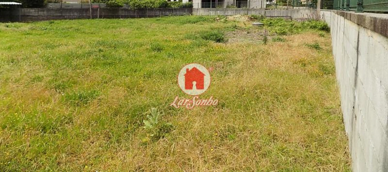 Terreno Agricola ou Rústico para Venda em Landim Foto 8