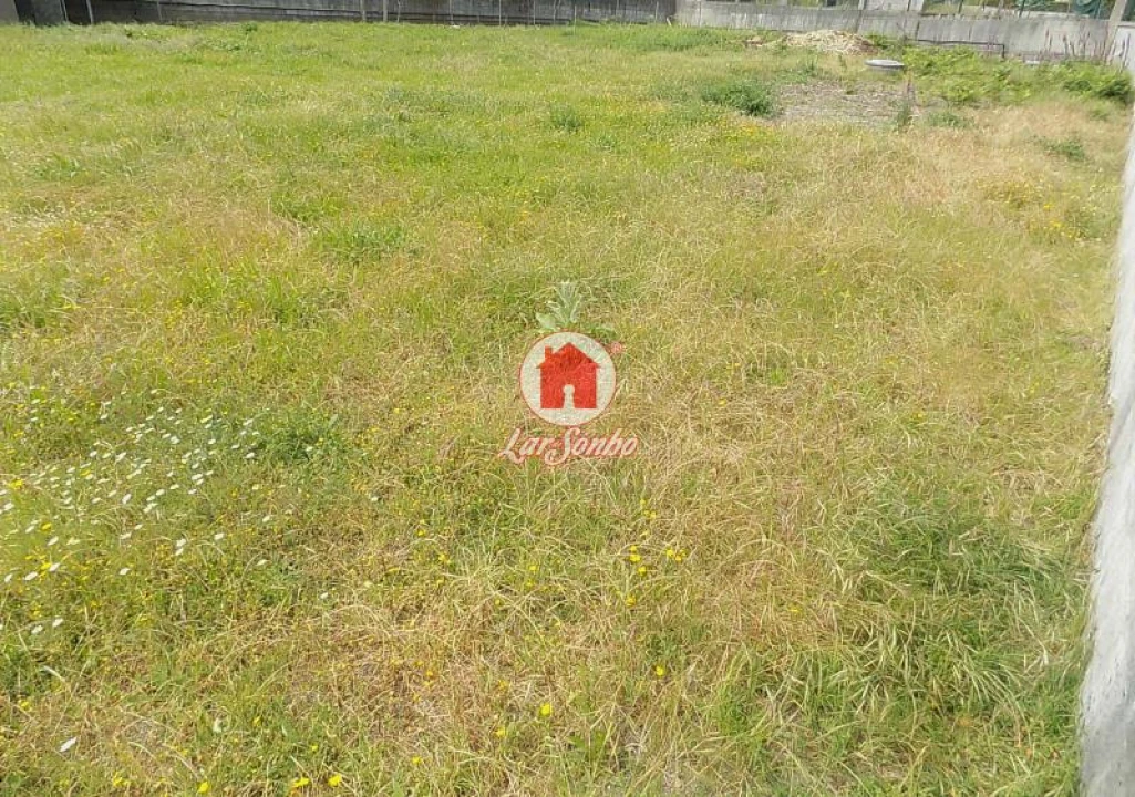 Terreno Agricola ou Rústico para Venda em Landim Foto 9