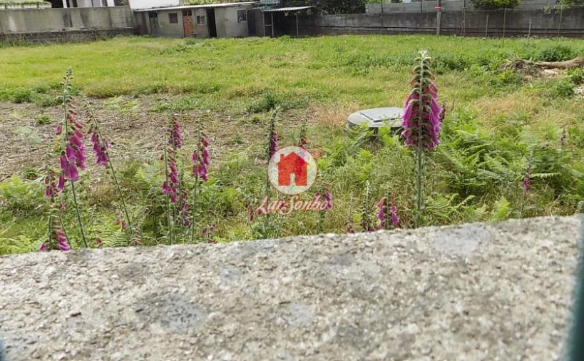Terreno Agricola ou Rústico para Venda em Landim Foto 3