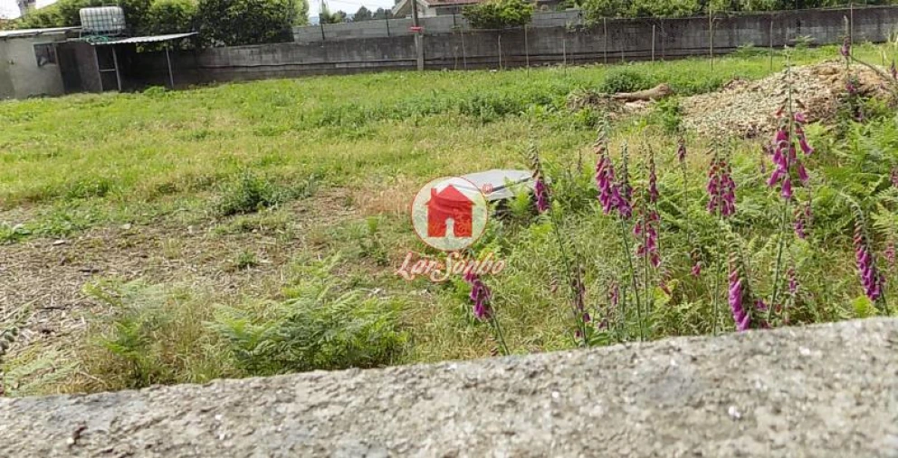 Terreno Agricola ou Rústico para Venda em Landim Foto 5