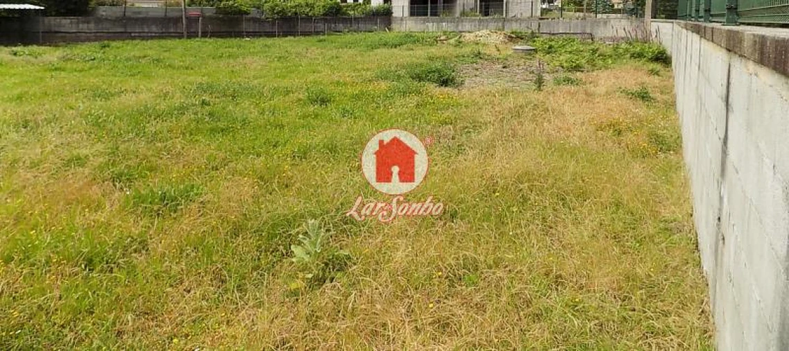 Terreno Agricola ou Rústico para Venda em Landim Foto 8