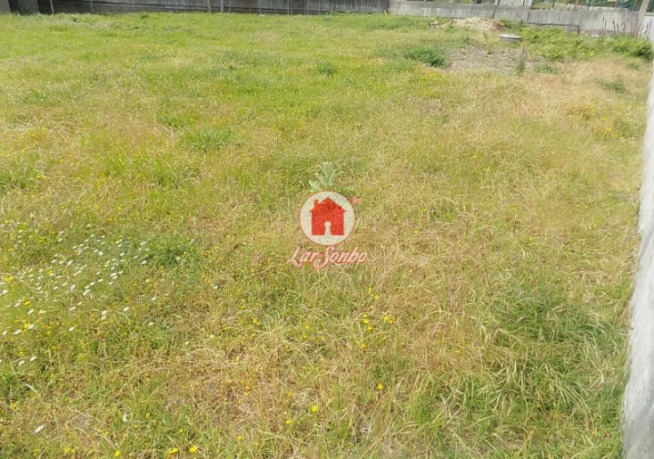 Terreno Agricola ou Rústico para Venda em Landim Foto 9