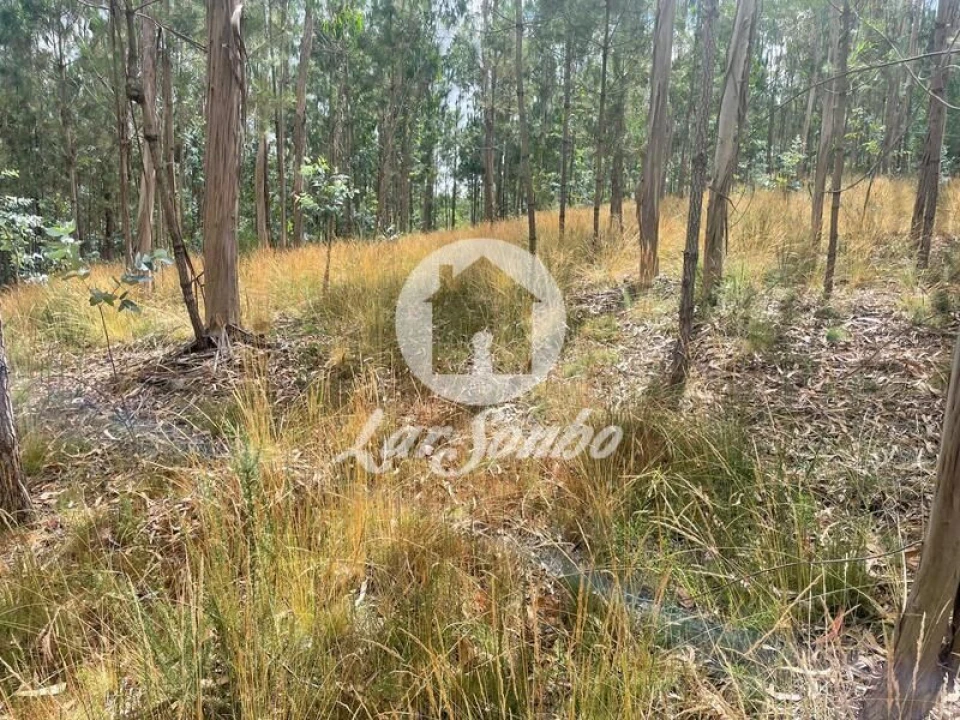 Terreno Agricola ou Rústico para Venda em Bagunte, Ferreiró, Outeiro Maior e Parada Foto 7