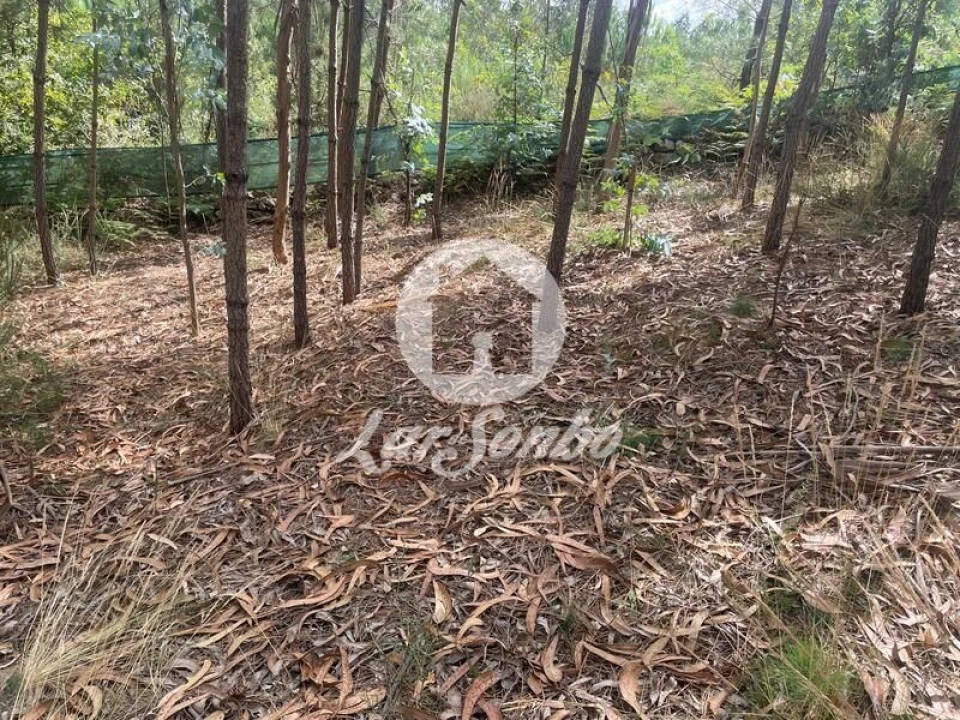 Terreno Agricola ou Rústico para Venda em Bagunte, Ferreiró, Outeiro Maior e Parada Foto 11