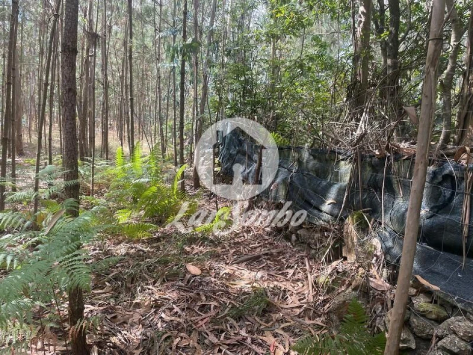 Terreno Agricola ou Rústico para Venda em Bagunte, Ferreiró, Outeiro Maior e Parada Foto 13
