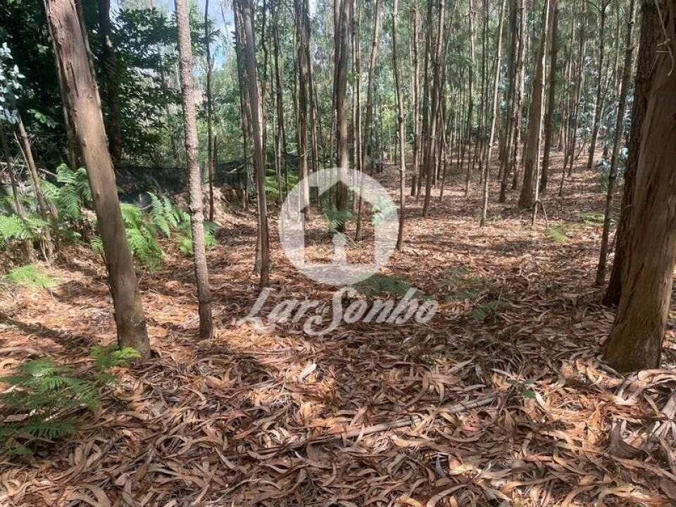 Terreno Agricola ou Rústico para Venda em Bagunte, Ferreiró, Outeiro Maior e Parada Foto 17