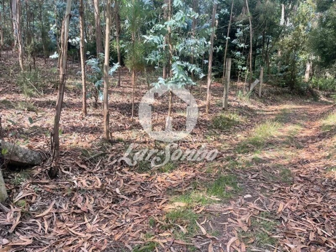 Terreno Agricola ou Rústico para Venda em Bagunte, Ferreiró, Outeiro Maior e Parada Foto 2