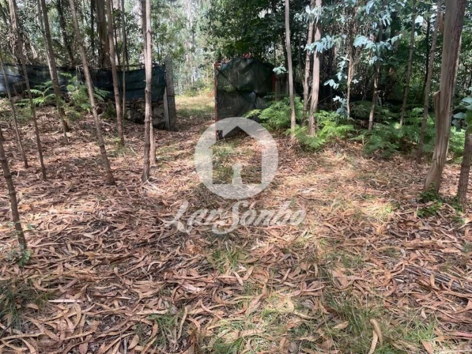 Terreno Agricola ou Rústico para Venda em Bagunte, Ferreiró, Outeiro Maior e Parada Foto 5
