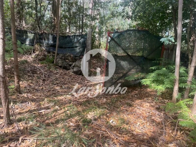 Terreno Agricola ou Rústico para Venda em Bagunte, Ferreiró, Outeiro Maior e Parada Foto 12
