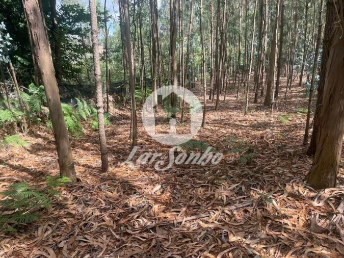 Terreno Agricola ou Rústico para Venda em Bagunte, Ferreiró, Outeiro Maior e Parada Foto 17