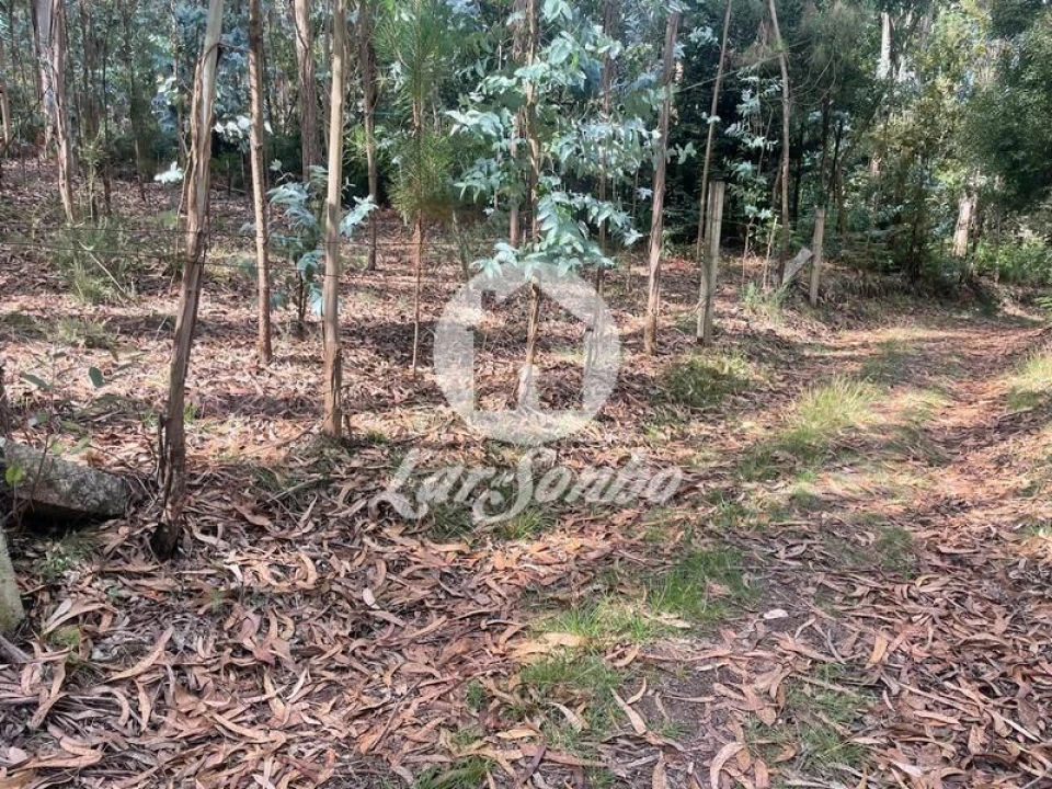 Terreno Agricola ou Rústico para Venda em Bagunte, Ferreiró, Outeiro Maior e Parada Foto 3