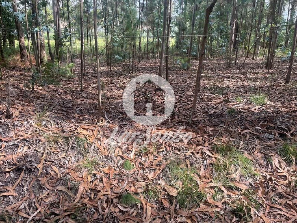 Terreno Agricola ou Rústico para Venda em Bagunte, Ferreiró, Outeiro Maior e Parada Foto 4