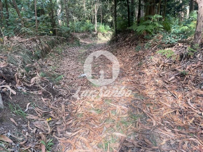 Terreno Agricola ou Rústico para Venda em Bagunte, Ferreiró, Outeiro Maior e Parada Foto 1
