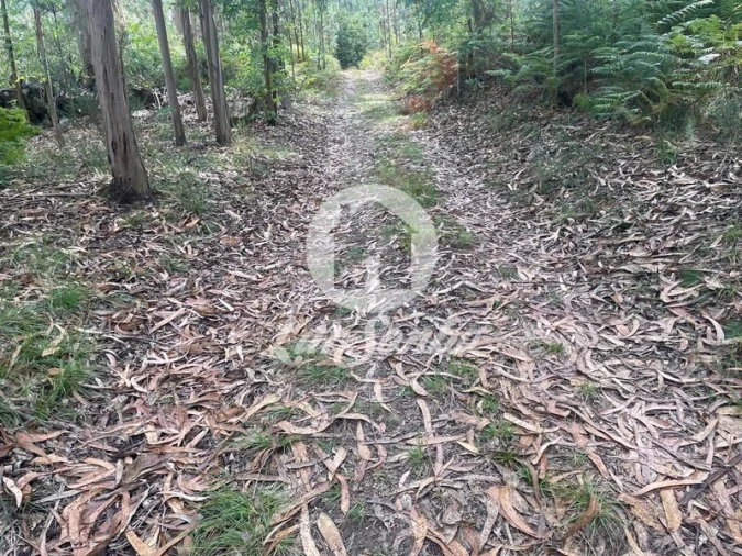Terreno Agricola ou Rústico para Venda em Bagunte, Ferreiró, Outeiro Maior e Parada Foto 2