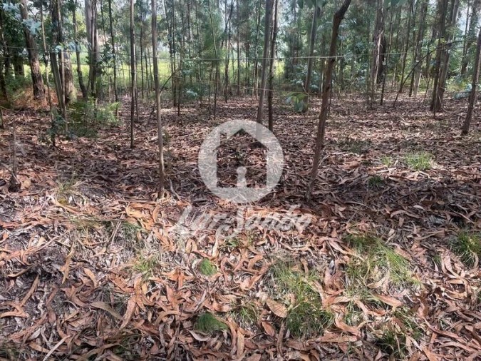 Terreno Agricola ou Rústico para Venda em Bagunte, Ferreiró, Outeiro Maior e Parada Foto 4