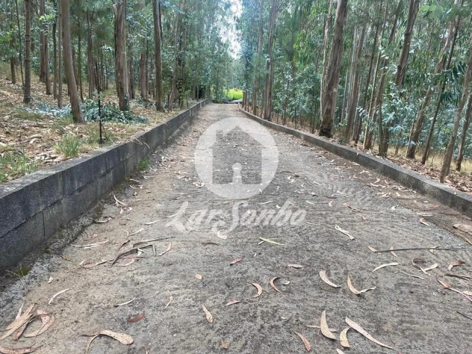 Terreno Agricola ou Rústico para Venda em Bagunte, Ferreiró, Outeiro Maior e Parada Foto 13