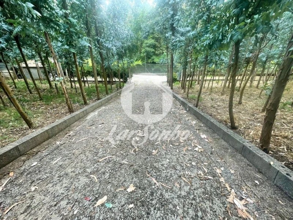 Terreno Agricola ou Rústico para Venda em Bagunte, Ferreiró, Outeiro Maior e Parada Foto 17