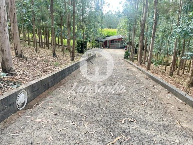 Terreno Agricola ou Rústico para Venda em Bagunte, Ferreiró, Outeiro Maior e Parada Foto 14