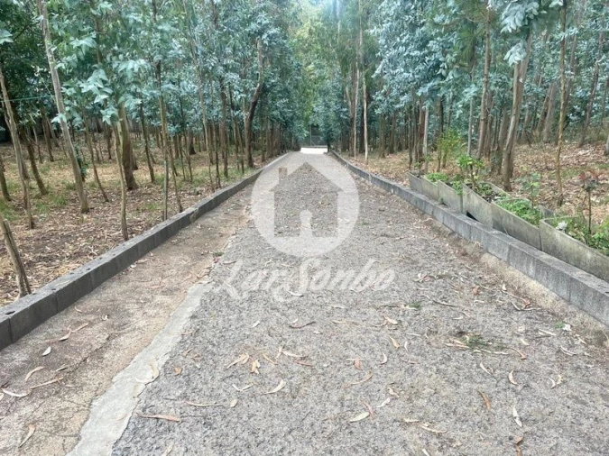 Terreno Agricola ou Rústico para Venda em Bagunte, Ferreiró, Outeiro Maior e Parada Foto 16