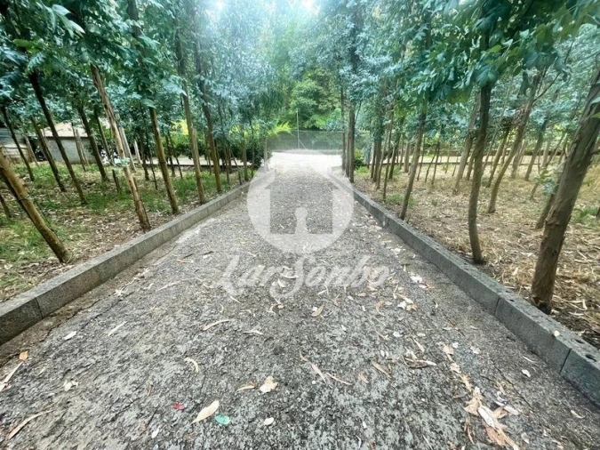 Terreno Agricola ou Rústico para Venda em Bagunte, Ferreiró, Outeiro Maior e Parada Foto 17