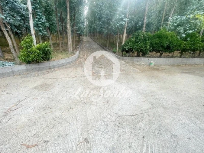 Terreno Agricola ou Rústico para Venda em Bagunte, Ferreiró, Outeiro Maior e Parada Foto 20