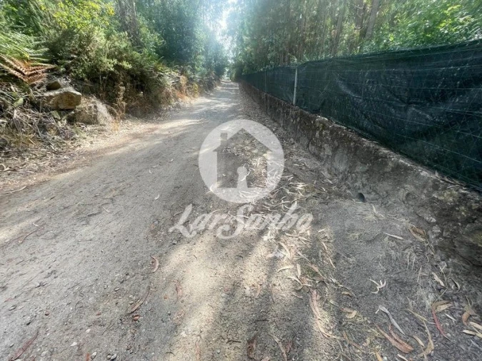 Terreno Agricola ou Rústico para Venda em Bagunte, Ferreiró, Outeiro Maior e Parada Foto 21