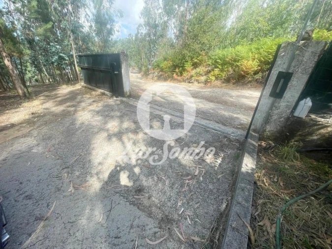 Terreno Agricola ou Rústico para Venda em Bagunte, Ferreiró, Outeiro Maior e Parada Foto 22