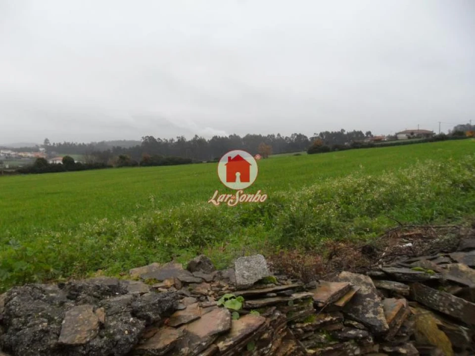 Terreno para Venda em Balazar Foto 6