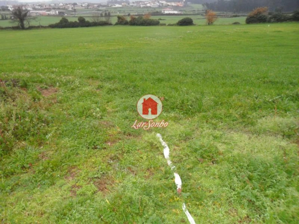 Terreno para Venda em Balazar Foto 1