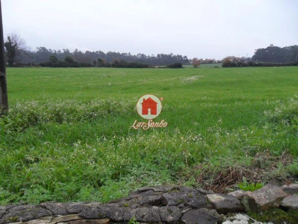 Terreno para Venda em Balazar Foto 2