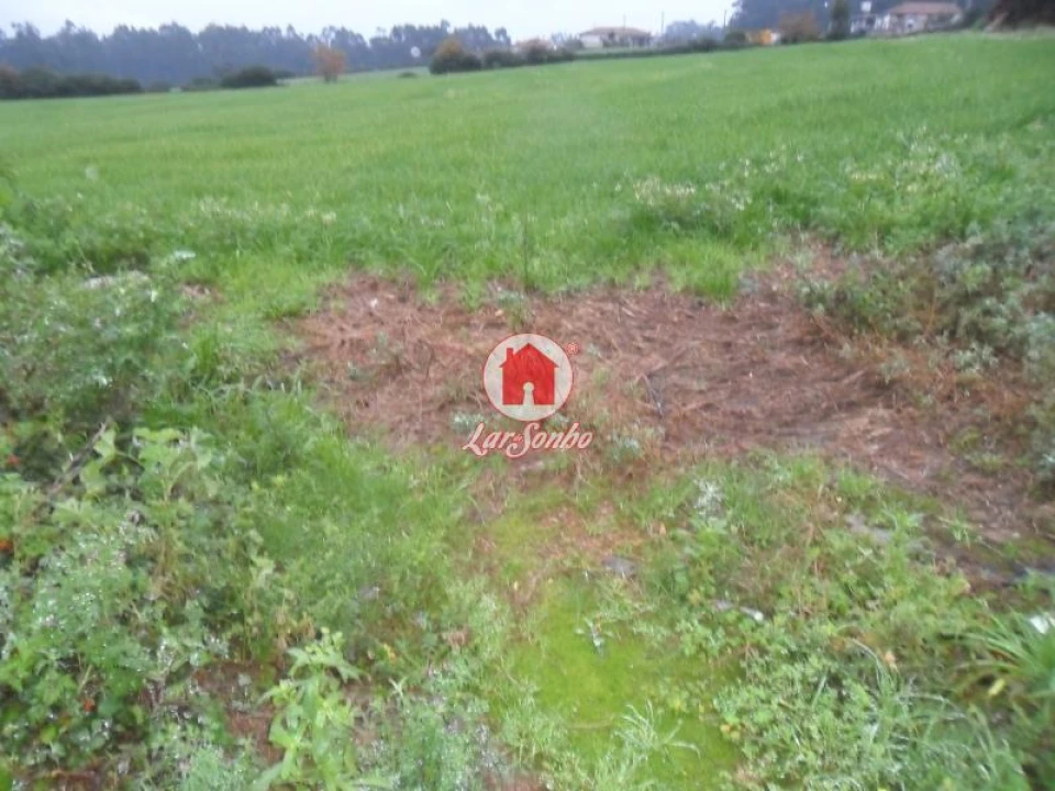 Terreno para Venda em Balazar Foto 4