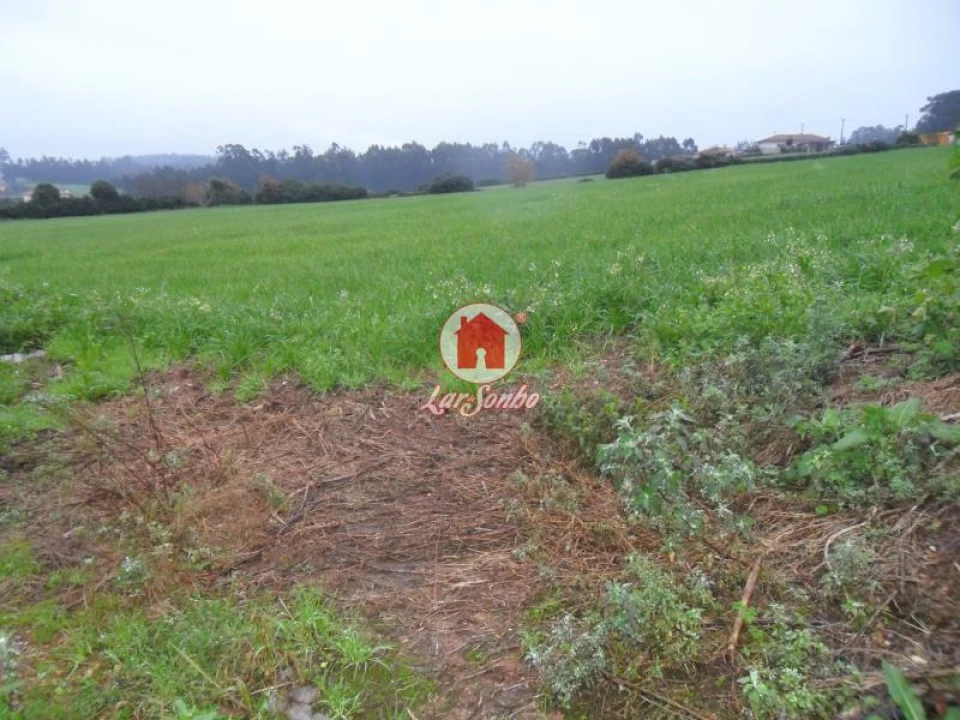 Terreno para Venda em Balazar Foto 5