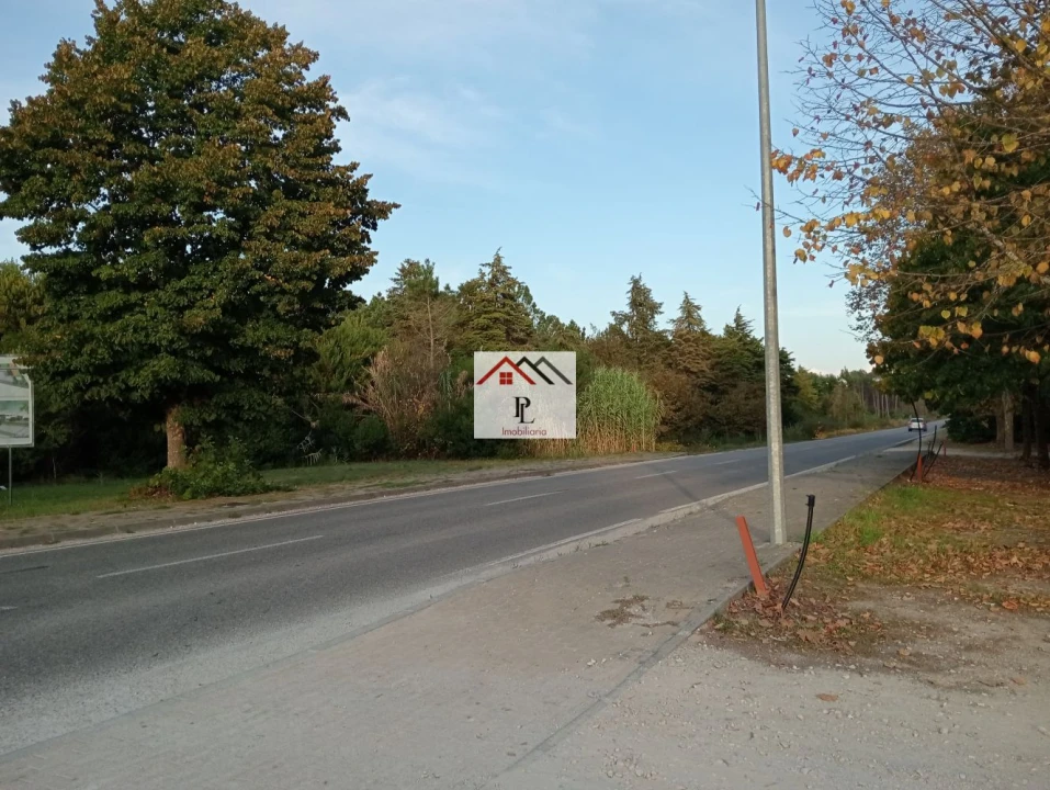 Loja para Venda em Fonte de Angeão e Covão do Lobo Foto 7