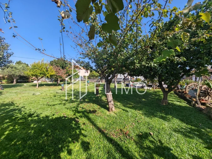 Moradia T3 para Venda em Avanca Foto 48