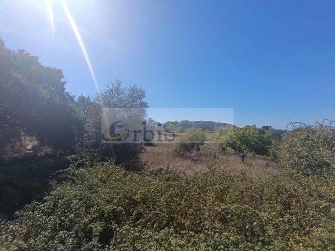 Terreno para Venda em Sesimbra (Castelo) Foto 2