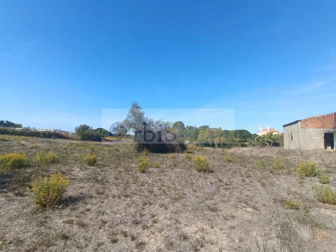 Terreno para Venda em Sesimbra (Castelo) Foto 10
