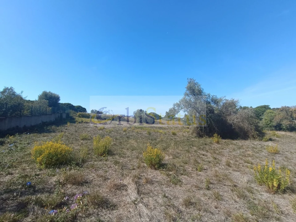Terreno para Venda em Sesimbra (Castelo) Foto 7